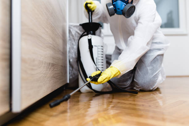 Trusted Wildwood Crest, NJ Pest Control Experts