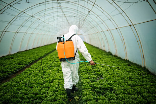Best Mosquito Control Services  in Wildwood Crest, NJ