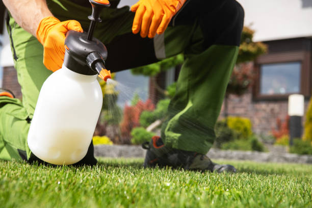Best Local Pest Control Services  in Wildwood Crest, NJ