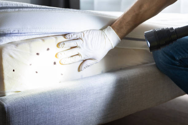 Best Commercial Pest Control Services  in Wildwood Crest, NJ